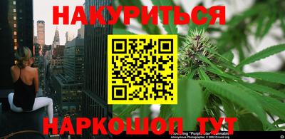 прущие крисы Кингисепп