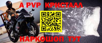 прущие крисы Кингисепп